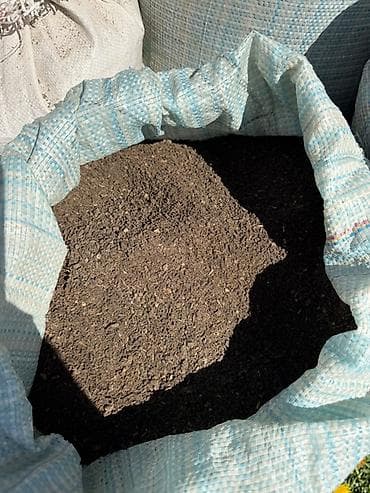 перец комнатный: Удобрение Гумус — 3