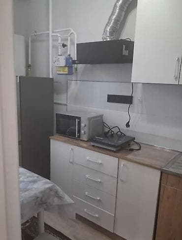 1 комната, Агентство недвижимости, Без подселения, С мебелью полностью — 1