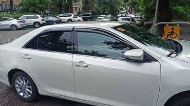 j32: Оригинальные ветровики с железным хромированным молдингом Можем — 8