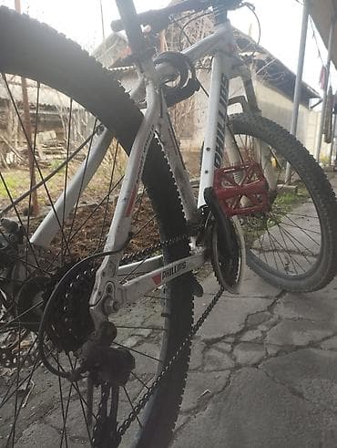 daf tandem: Горный велосипед, Рама M (156 - 178 см), Сталь — 4