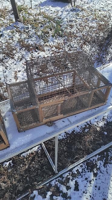 груминг кошек бишкек: Зоотовары — 1