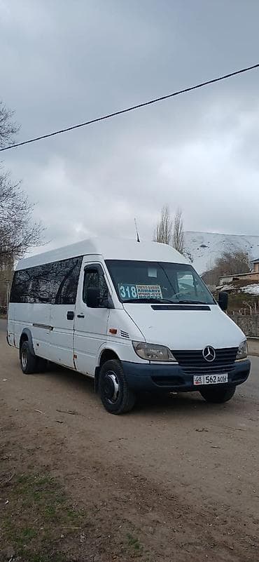 спринтер каратишка: Автобус, Mercedes-Benz — 5