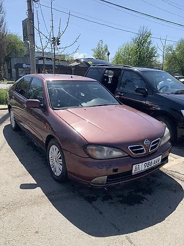 Nissan Primera: 2001 г., Седан