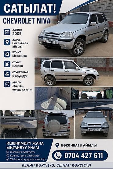 Chevrolet Niva: 2005 г., 1.7 л, Механика, Бензин, Универсал