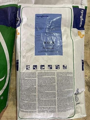 инсектицид: Семена подсолнечника Syngenta NK Neoma (гибрид) - Культура — 3