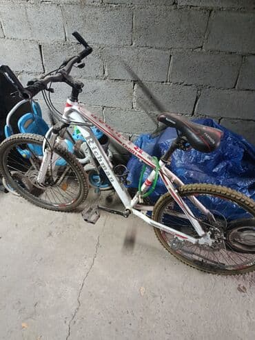 какой бизнес можно открыть в бишкеке: Велосипед
если приедете ещё снижу цену — 3