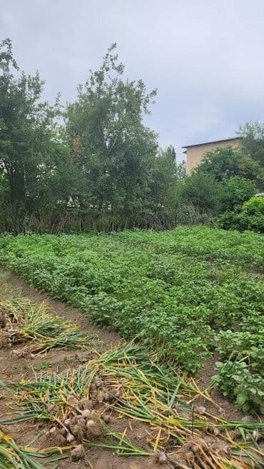 аренда часный дом: Дом, 103 м², 3 комнаты, Евроремонт — 10