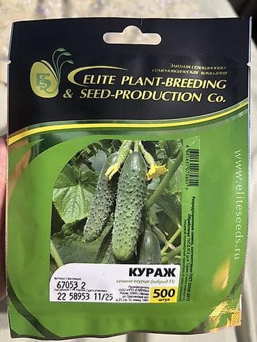 Семена огурца Кураж F1 (гибрид). Производитель: Elite Plant-Breeding