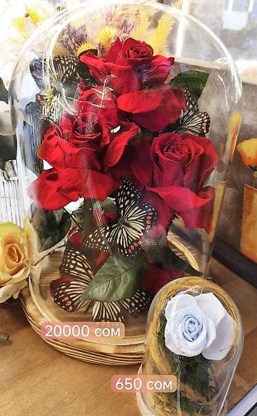 цена розы: Живые розы которые не завянут даже через год!!! Бишкек, букет в вазе — 6