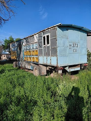 corolla runx: Прицеп, Special trailer — 2