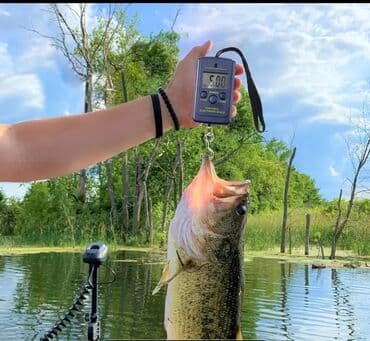 штангель цыркуль: Весы Весы электронные. Электронные весы. Безмен электронный. Весы — 7