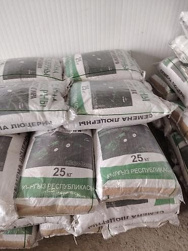 семена клевера: Семена кормовых растений: Люцерна, Самовывоз — 7