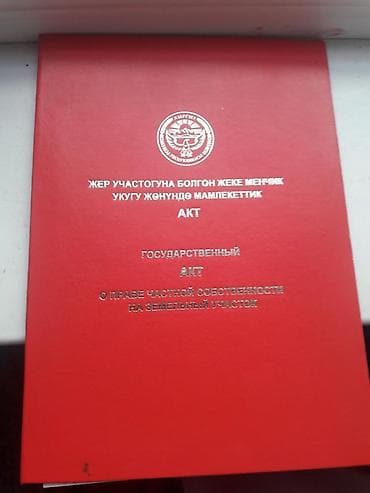 100 соток, Бизнес үчүн, Техпаспорт — 2