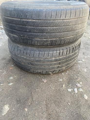 Шины 235 / 55 / R 19, Лето, Пара, Michelin