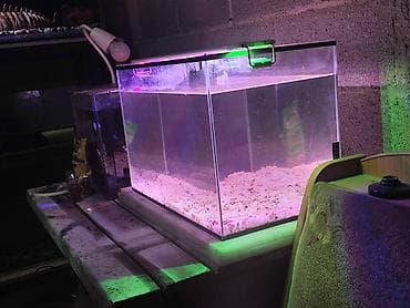 кони: Аквариум 50л размеры 50х34х30, в комплекте отдам грунт, так же за — 2