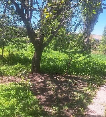 земельные участки в оше: 8 соток, Красная книга — 3