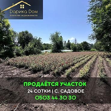 полья: 24 соток — 1