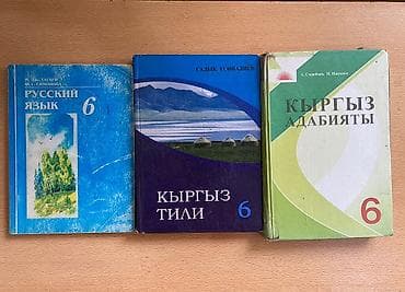 Кыргыз тили, 6-класс, Өзү алып кетүү, Акылуу жеткирүү