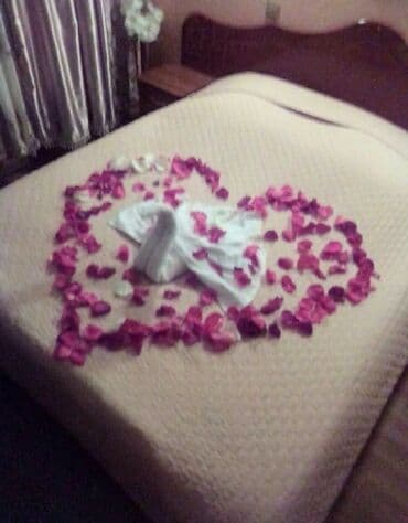 12 м², С мебелью