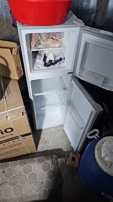 газ аа: Муздаткыч Avest, Эки камералуу — 1