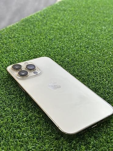 intel xeon e5: IPhone 13 Pro, Золотой, Коробка — 5