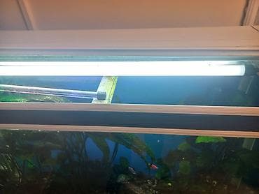 одежда для таксы бу: АКВАРИУМ 250л Продам заводской аквариум на тумбе полный комплект все в — 3