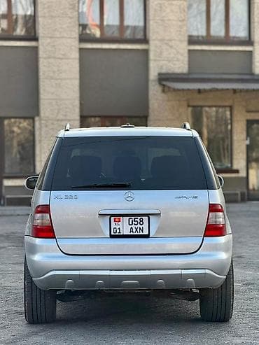 молдинг на мерседес: Mercedes-Benz M-Class: 2002 г., 3.2 л, Автомат, Кроссовер — 4