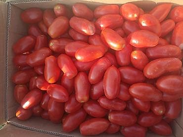 кетчуп: Помидоры Сливки — 2