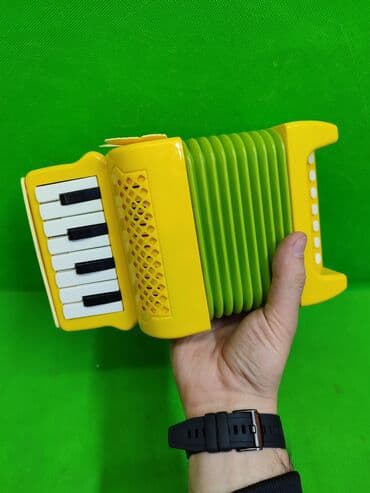 аккумулятор для детской машины: Аккордеон игрушка детская музыкальная🪗 Комплектация товара — 3