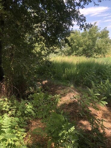 дом в московском районе: Үй, 50 кв. м, 4 бөлмө, Менчик ээси, Эски ремонт — 4