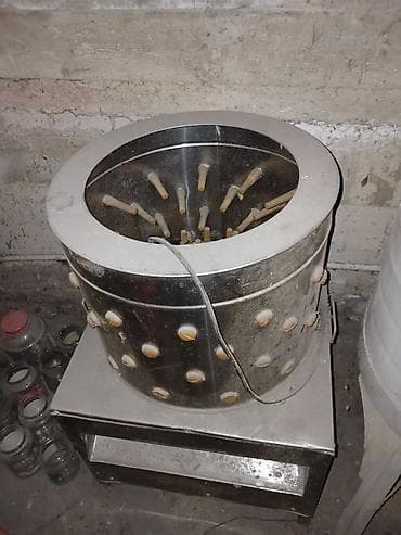 Ощипывальная машина (перосъёмная) для птицы, барабанного типа. - at lalafo.kg Ощипывальная машина (перосъёмная) для птицы, барабанного типа. -