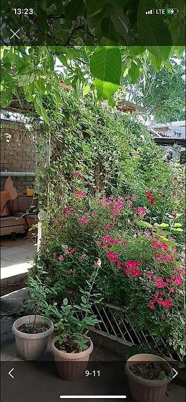 5 соток, Для строительства, Красная книга, Договор купли-продажи