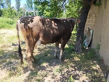 сварка 3 1: Бензопила ЗУБР 7500 - Мощность: 7500 (указано на корпусе). - Тип — 8