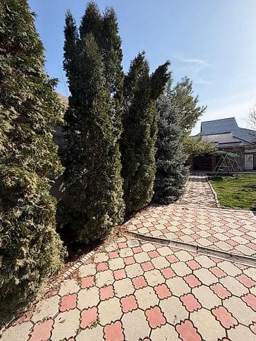Дом с участком и благоустроенным двором - Одноэтажный дом кирпичный