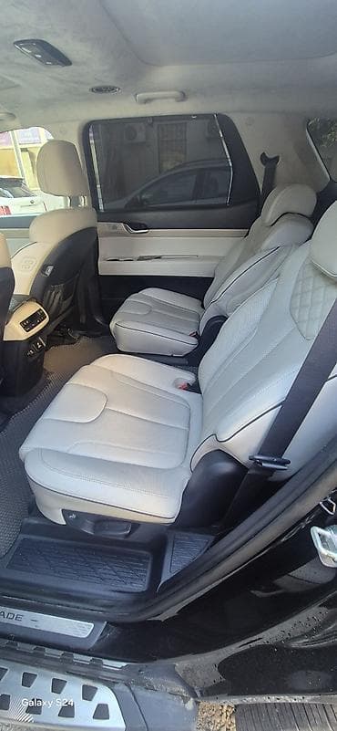 go park: Hyundai Palisade: 2019 г., 3.8 л, Автомат, Бензин, Кроссовер — 6