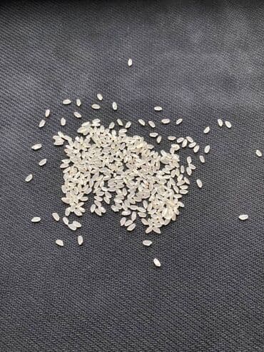 рисовые отруби: Рис круглый, күрүч Рис шлифованный в упаковках по 25 кг. Доставка с — 3