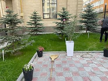 колледжи: 1 комната, 38 м², Элитка, 7 этаж, Евроремонт — 9