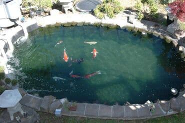 охрана керек: ОсОО "Бату Групп" - ваш надежный партнер ! Мы создаем будущее — 7