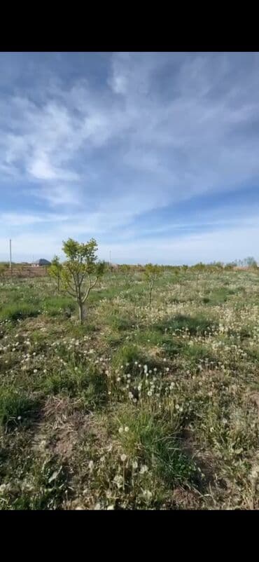 продажа домов на иссык куле: 20 соток, Бизнес үчүн, Кызыл китеп — 1