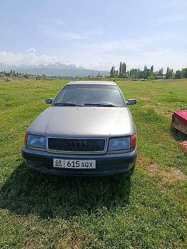 Audi 100: 1991 г., 2.3 л, Механика, Бензин, Седан