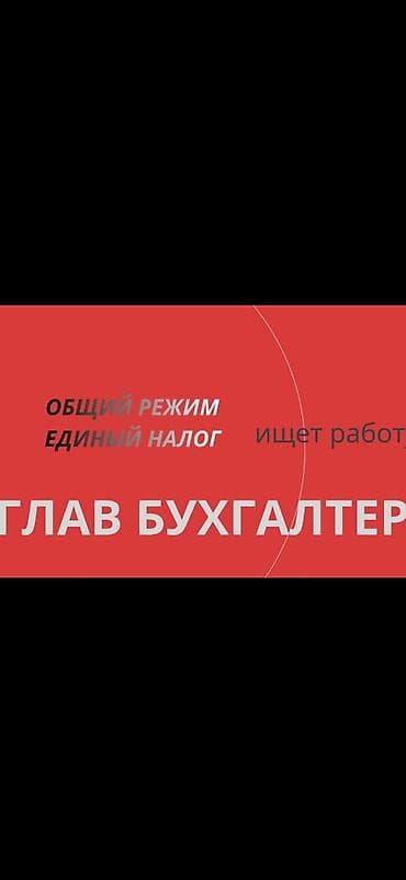 Главный бухгалтер ищет работу на полный рабочий день. График 5/2