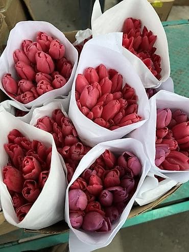 цветы из биссера: Тюльпаны - Сорт: нежно-розовые тюльпаны с мягкой желтой каймой на — 4