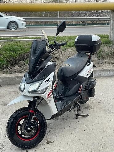 скутеры электрические: Скутер Mustang (бензиновый) - Кузов: спортивный дизайн, бело‑черный — 1