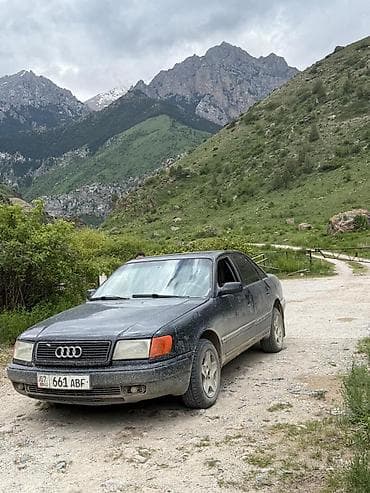 купить мерс с: Audi 100: 1992 г., 2.3 л, Механика, Бензин, Седан — 2