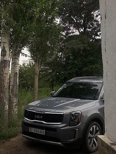 devo matiz: Kia Telluride: 2020 г., 3.8 л, Автомат, Бензин, Кроссовер — 3