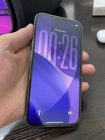 iphone 12 pro maz: IPhone 13 Pro, Графит, Чехол — 1