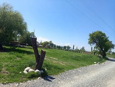 кел кел: 10 соток, Айыл чарба үчүн — 1