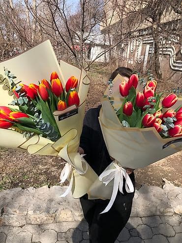 луковица тюльпаны: Тюльпаны оптом только до 6марта ! Свежие хрустящие сортовые — 9