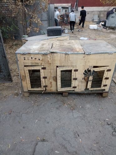 барахолка кара балта: Продам кролятники — 4