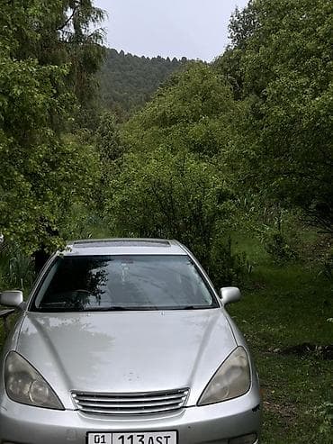 Toyota Windom: 2003 г., 3 л, Автомат, Бензин, Седан
